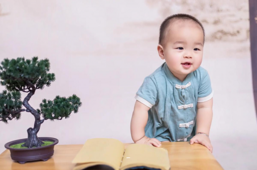 孝感可爱的企鹅宝宝